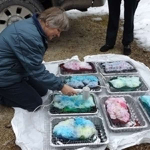 Snow Dyeing Workshop at the Barn Studio